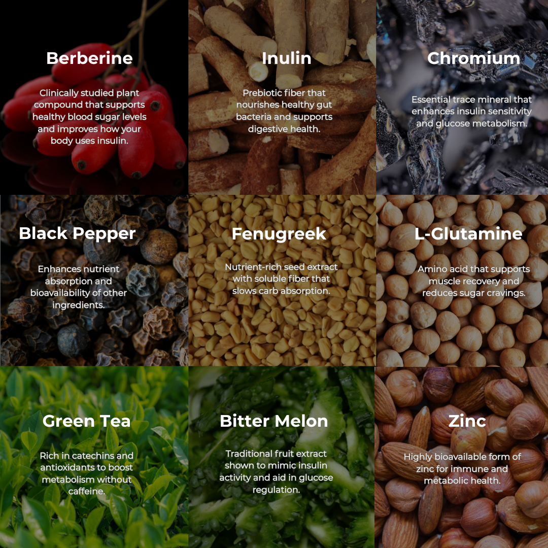 Daily Metabolic+